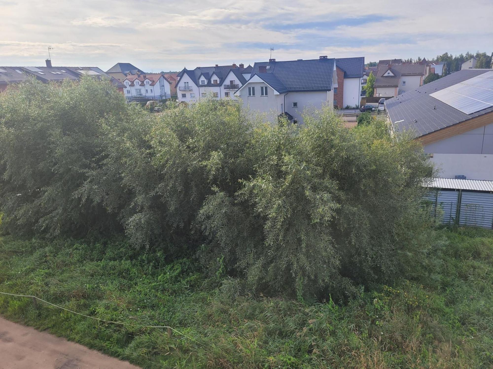 Apartamenty Majer וובה מראה חיצוני תמונה
