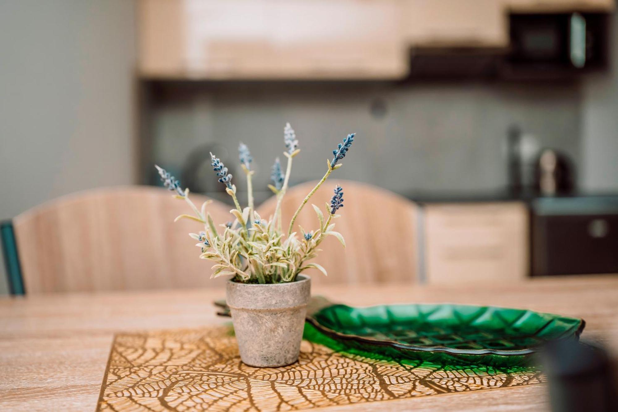 Apartamenty Majer וובה מראה חיצוני תמונה